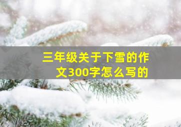 三年级关于下雪的作文300字怎么写的