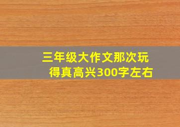 三年级大作文那次玩得真高兴300字左右