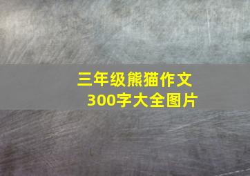 三年级熊猫作文300字大全图片