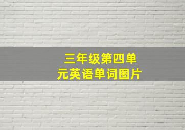 三年级第四单元英语单词图片