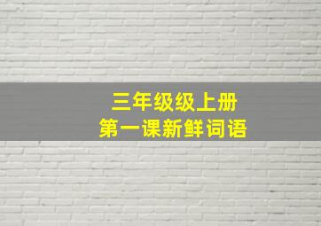 三年级级上册第一课新鲜词语