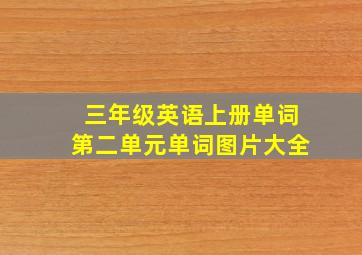 三年级英语上册单词第二单元单词图片大全