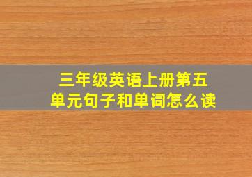 三年级英语上册第五单元句子和单词怎么读