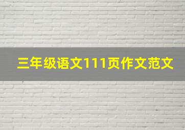 三年级语文111页作文范文