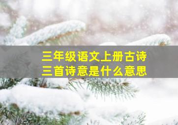 三年级语文上册古诗三首诗意是什么意思