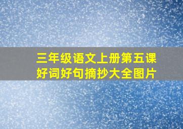 三年级语文上册第五课好词好句摘抄大全图片