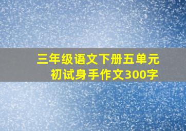 三年级语文下册五单元初试身手作文300字