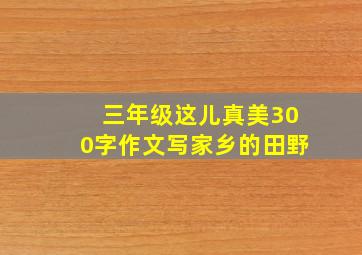 三年级这儿真美300字作文写家乡的田野