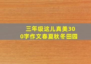 三年级这儿真美300字作文春夏秋冬田园