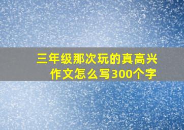 三年级那次玩的真高兴作文怎么写300个字