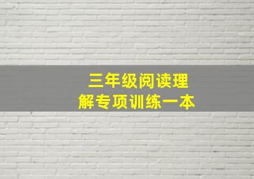 三年级阅读理解专项训练一本