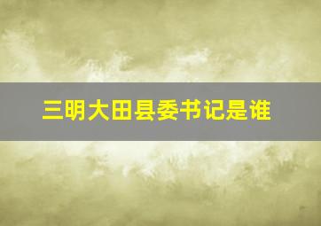 三明大田县委书记是谁