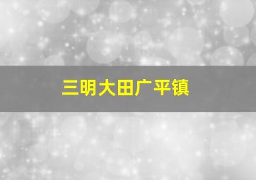 三明大田广平镇