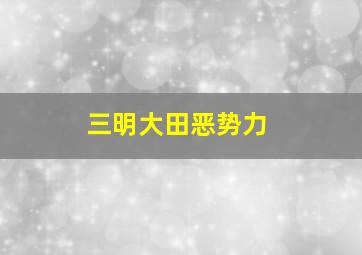 三明大田恶势力