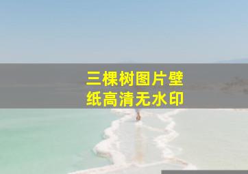 三棵树图片壁纸高清无水印