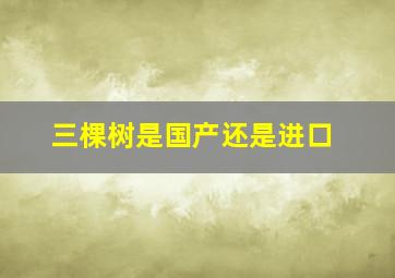 三棵树是国产还是进口