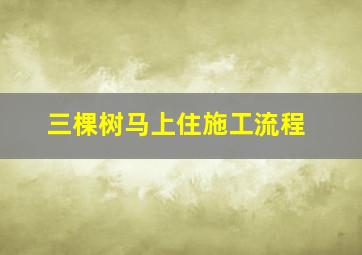 三棵树马上住施工流程