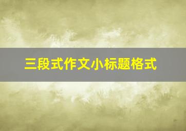 三段式作文小标题格式