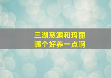 三湖慈鲷和玛丽哪个好养一点啊