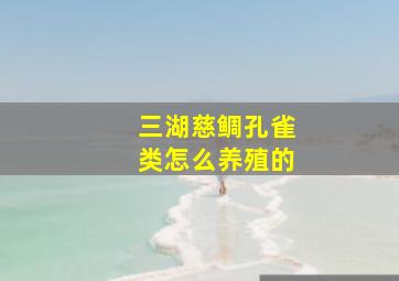 三湖慈鲷孔雀类怎么养殖的