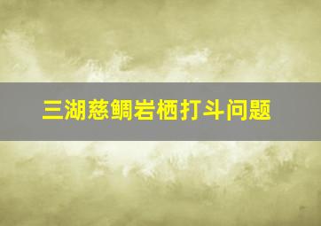 三湖慈鲷岩栖打斗问题