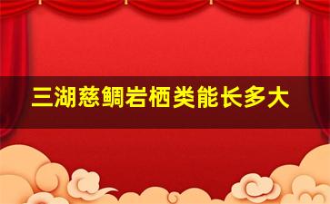 三湖慈鲷岩栖类能长多大