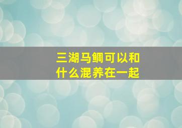 三湖马鲷可以和什么混养在一起