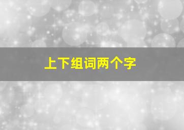 上下组词两个字