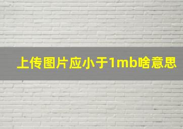 上传图片应小于1mb啥意思