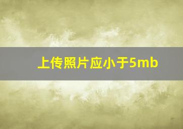 上传照片应小于5mb