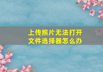 上传照片无法打开文件选择器怎么办