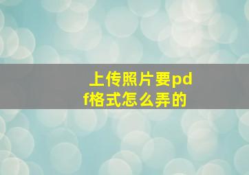 上传照片要pdf格式怎么弄的