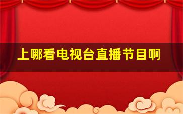 上哪看电视台直播节目啊