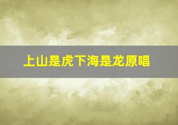 上山是虎下海是龙原唱