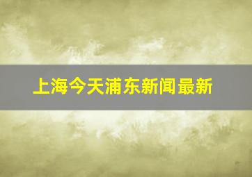 上海今天浦东新闻最新