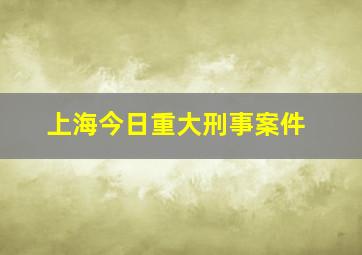 上海今日重大刑事案件