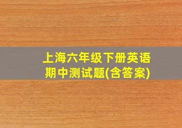 上海六年级下册英语期中测试题(含答案)