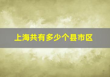 上海共有多少个县市区