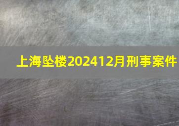 上海坠楼202412月刑事案件