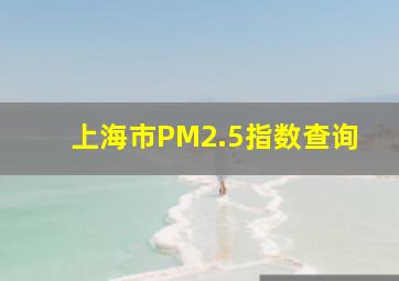 上海市PM2.5指数查询