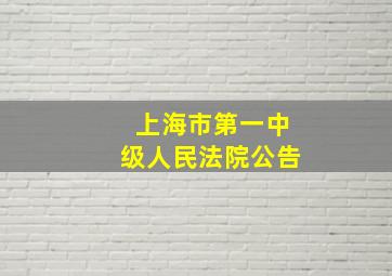 上海市第一中级人民法院公告