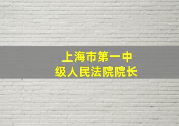 上海市第一中级人民法院院长