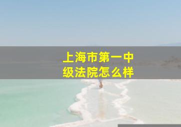 上海市第一中级法院怎么样