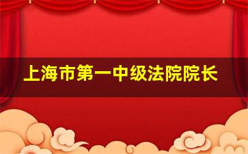 上海市第一中级法院院长