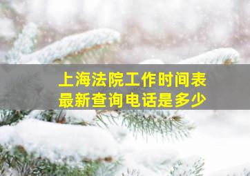 上海法院工作时间表最新查询电话是多少