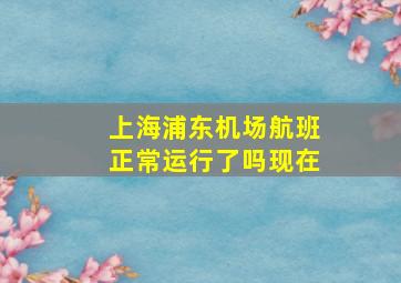 上海浦东机场航班正常运行了吗现在