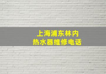 上海浦东林内热水器维修电话