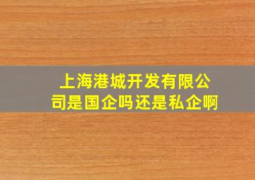 上海港城开发有限公司是国企吗还是私企啊