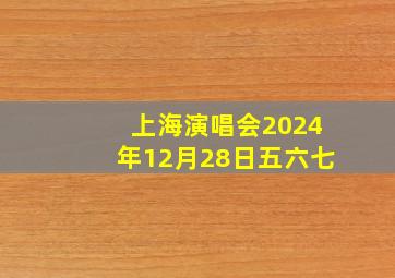 上海演唱会2024年12月28日五六七