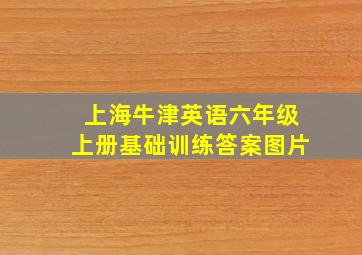 上海牛津英语六年级上册基础训练答案图片